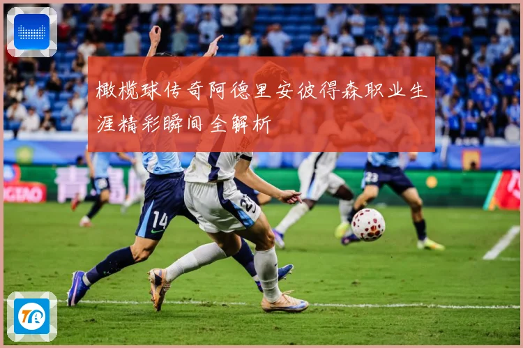 橄榄球传奇阿德里安彼得森职业生涯精彩瞬间全解析