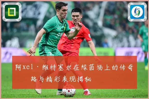 阿xel·维特塞尔在绿茵场上的传奇之路与精彩表现揭秘